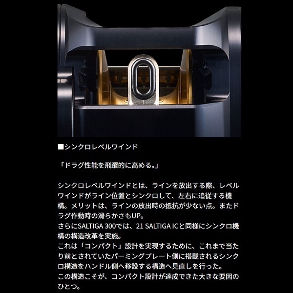 25ソルティガ